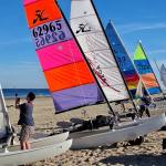 Dutch Hobie 14 20254