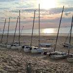 Dutch Hobie 14 20259