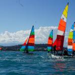 Adriatic Hobie Cat Cup 2025 9